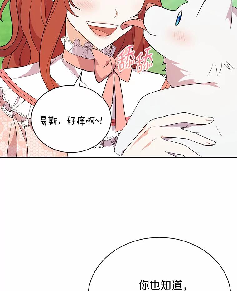 《狼犬男主的驯养师》5.你代我盯着她 第42页