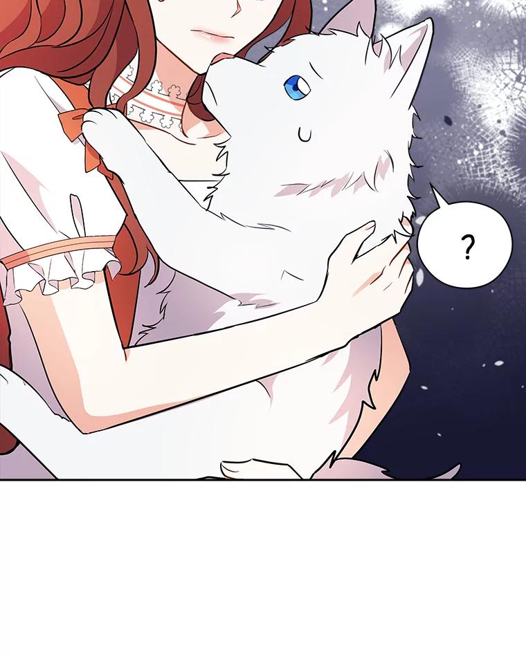 《狼犬男主的驯养师》6.今天就要我离开 第47页