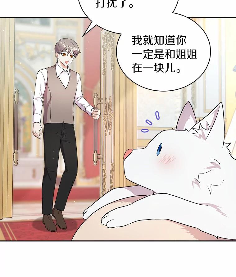 《狼犬男主的驯养师》8.向她寻求帮助 第94页