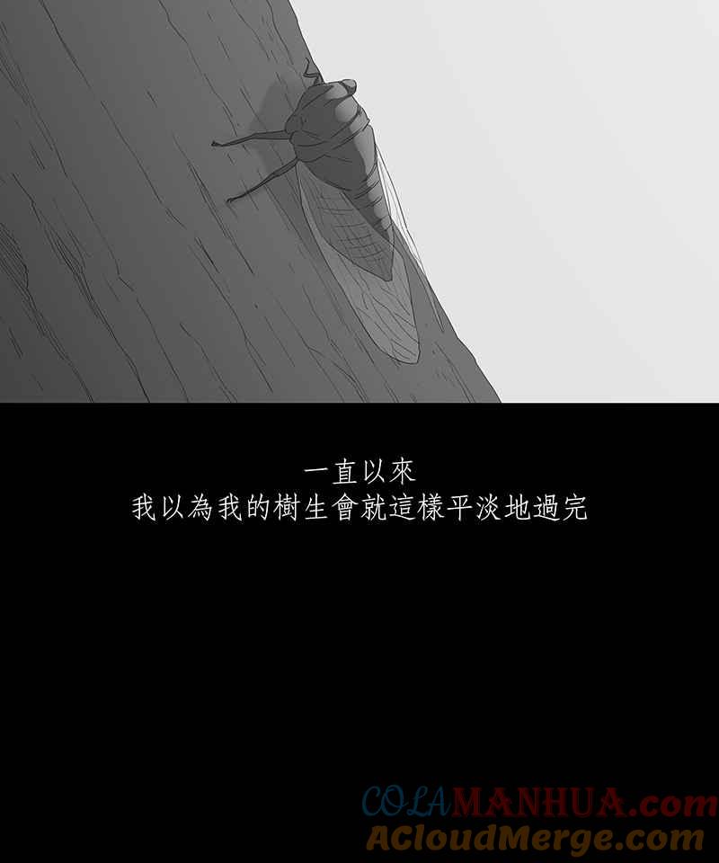 黑盒子 [第104话] 树木君的复仇 第5页