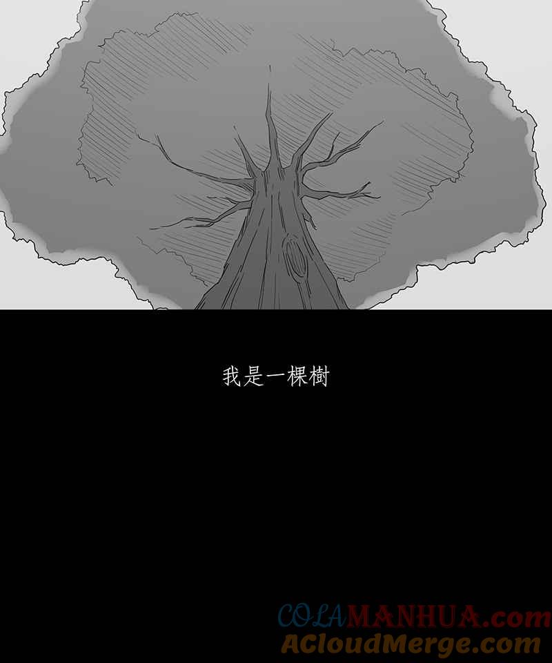 黑盒子 [第104话] 树木君的复仇 第3页