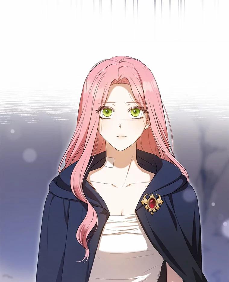 《菲奥尼：预见我与恶魔大公的未来》28.你是加莉吗？ 第34页