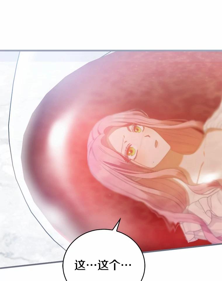 《菲奥尼：预见我与恶魔大公的未来》28.你是加莉吗？ 第108页
