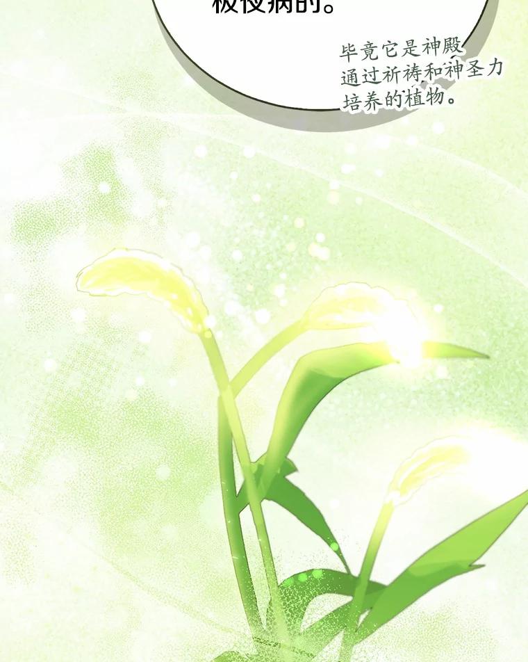 《菲奥尼：预见我与恶魔大公的未来》36.寻找治病的办法 第70页