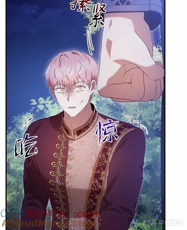 《菲奥尼：预见我与恶魔大公的未来》42.记得你的喜好 第73页
