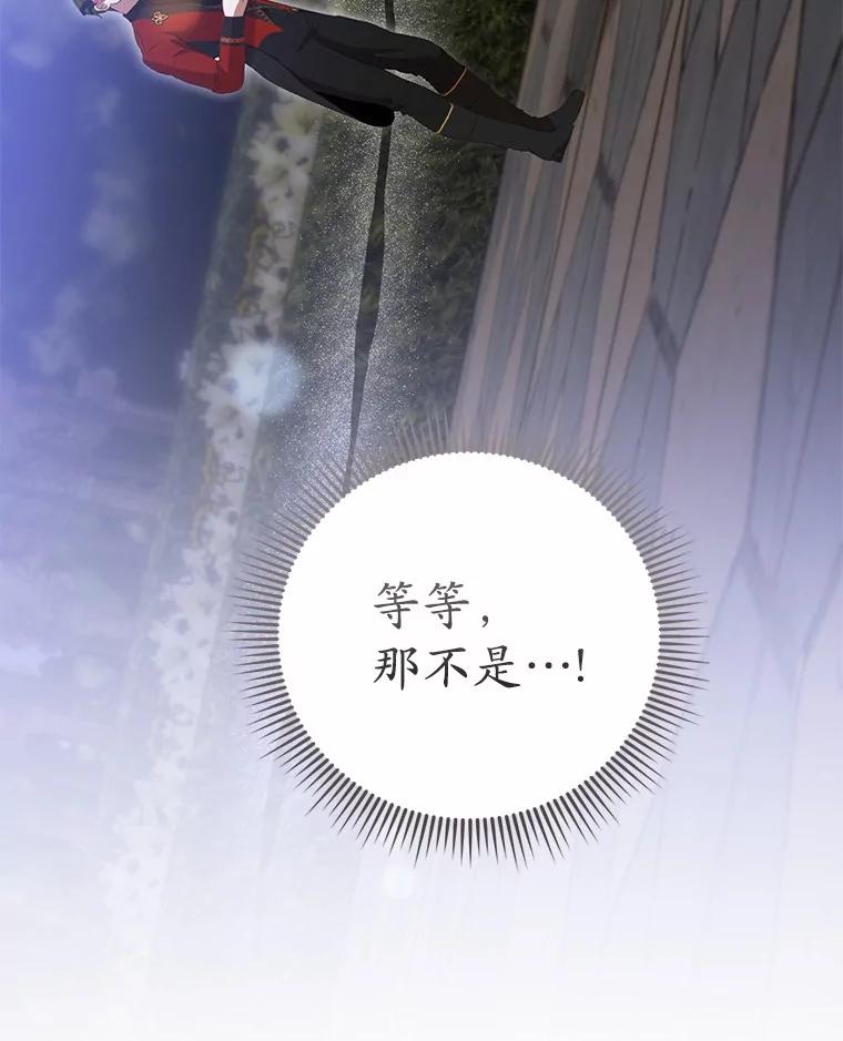 《菲奥尼：预见我与恶魔大公的未来》45.婚事问题 第148页