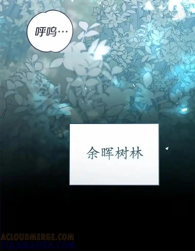 《菲奥尼：预见我与恶魔大公的未来》54.奇迹 第133页