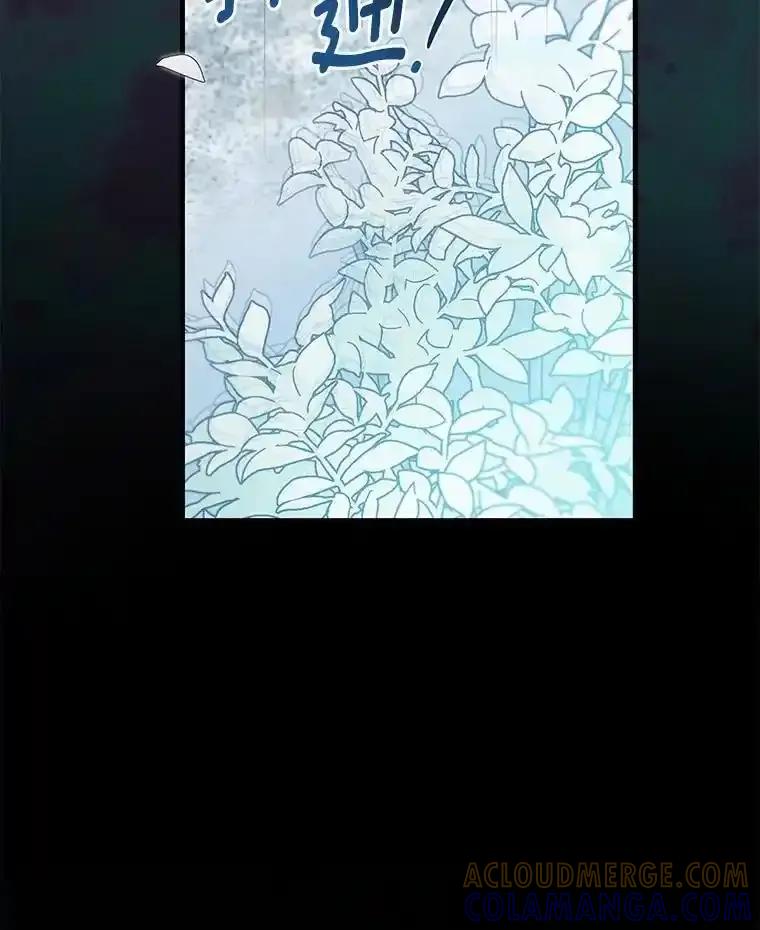 《菲奥尼：预见我与恶魔大公的未来》54.奇迹 第137页