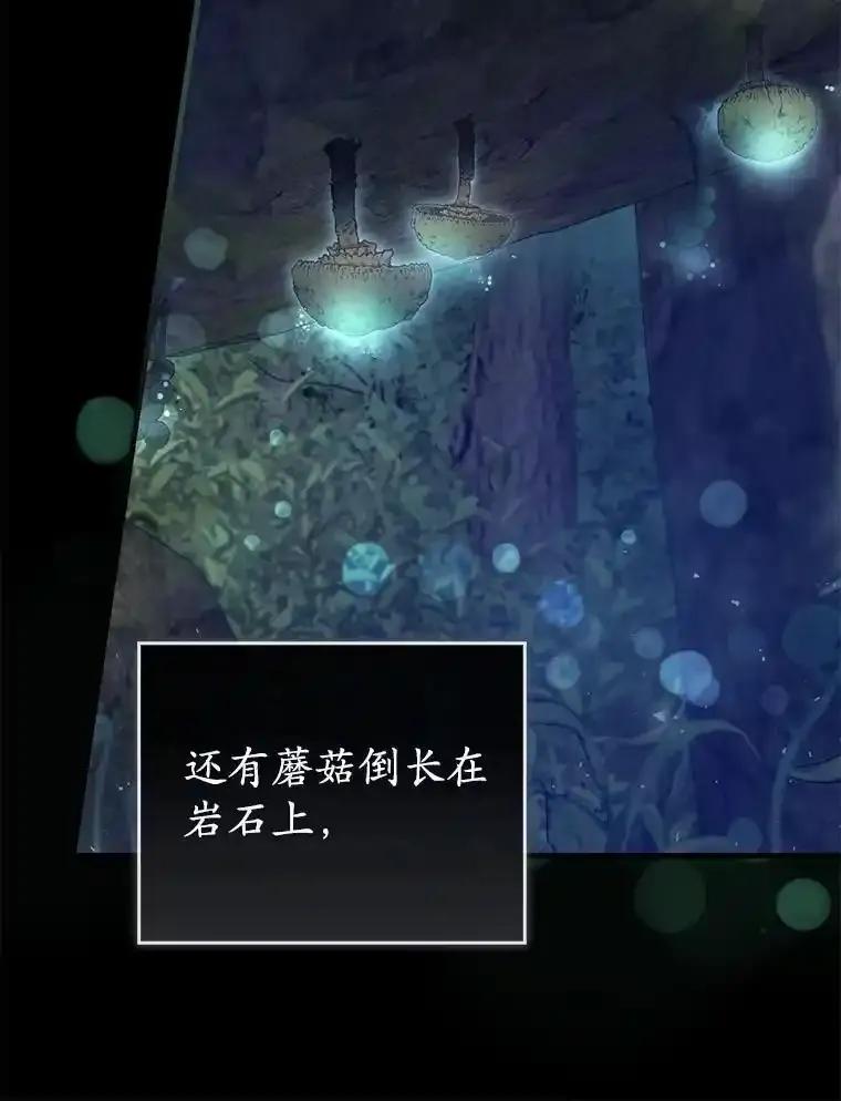 《菲奥尼：预见我与恶魔大公的未来》55.白夜空间 第15页