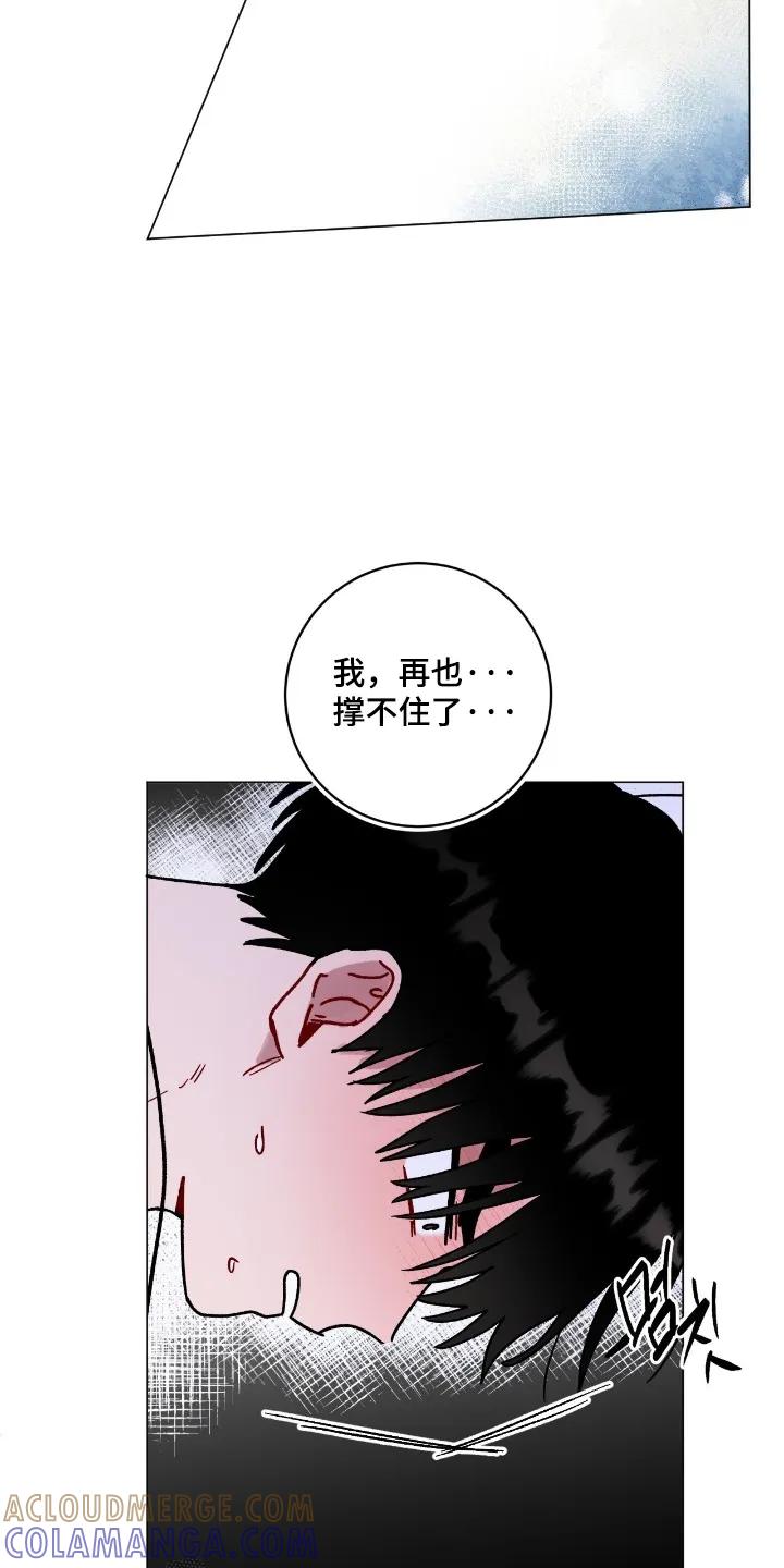 《复生之缘》第198章：撑住 第19页