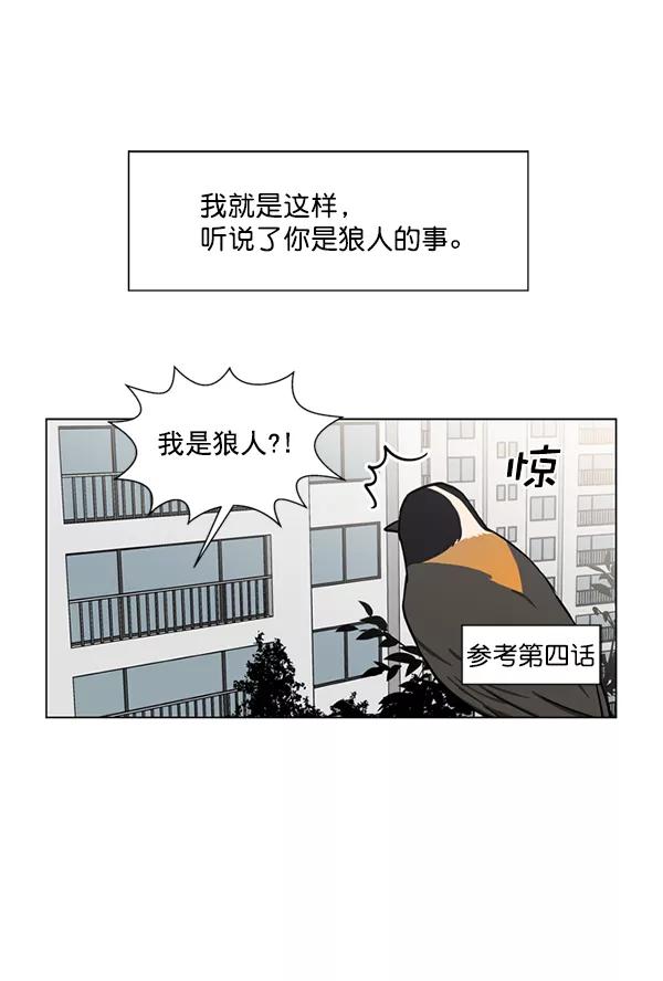 《狼与小红帽》第11话 第38页