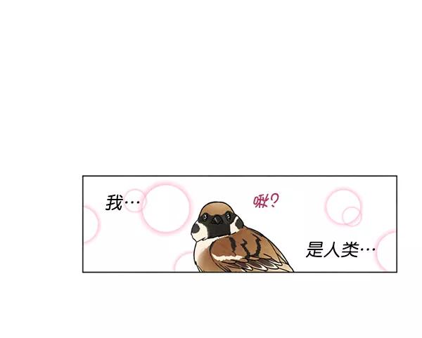 《狼与小红帽》第2话 第72页