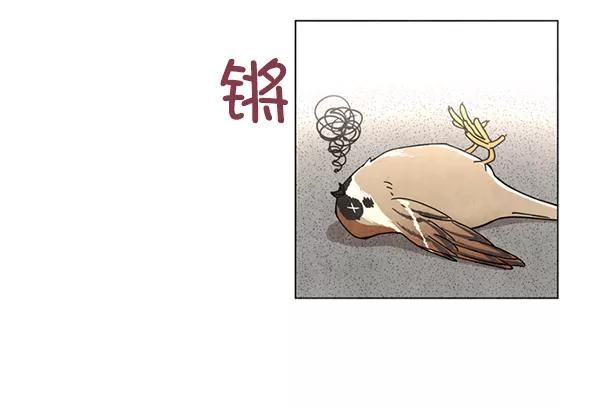 《狼与小红帽》第3话 第11页