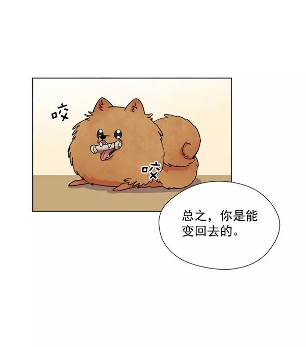 《狼与小红帽》第4话 第56页