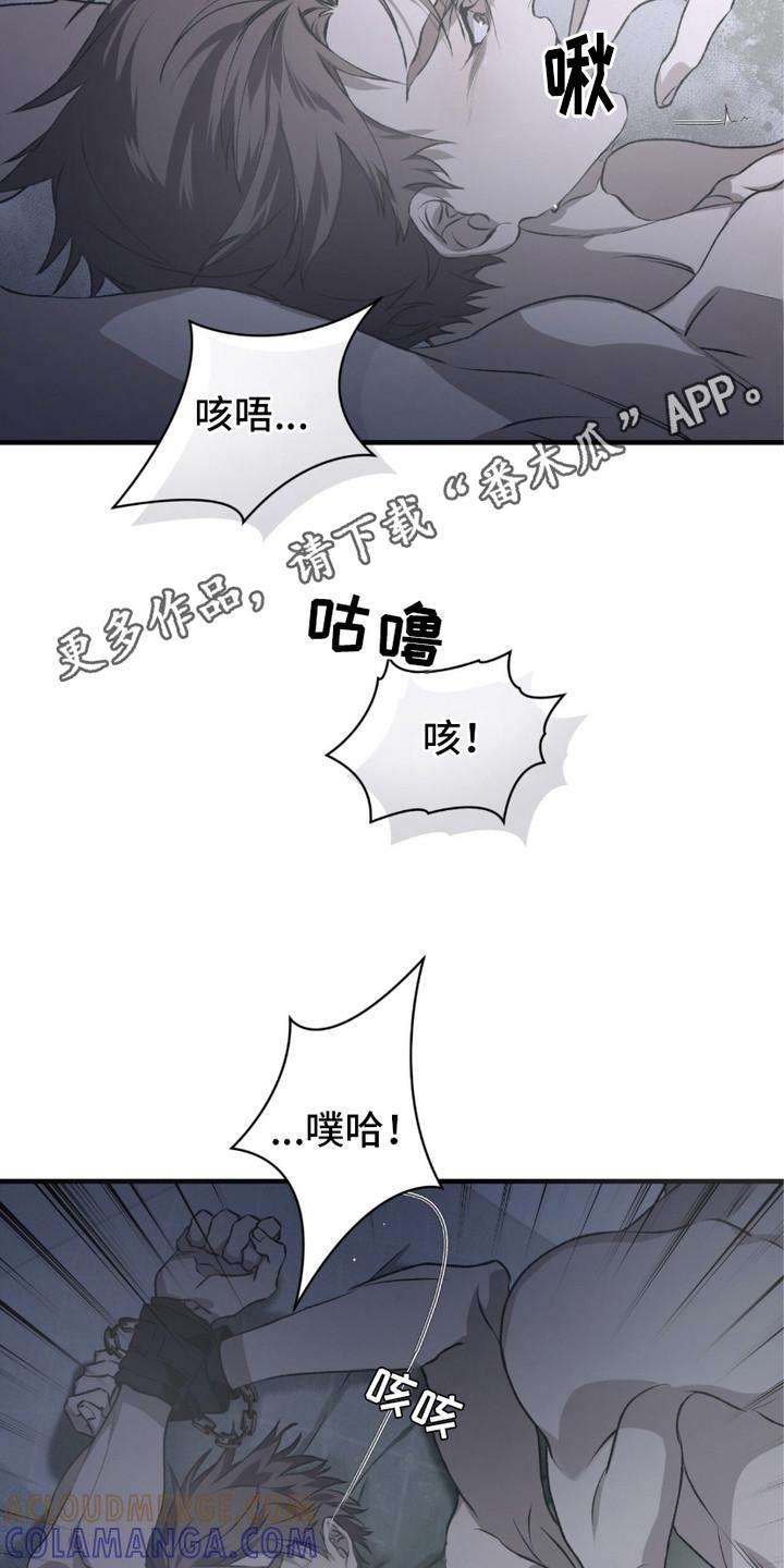 《绝命扣押》第10章：惩罚 第5页