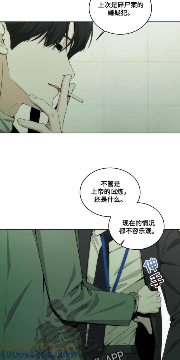 《致命诱饵》第21章：新奇的比喻 第5页