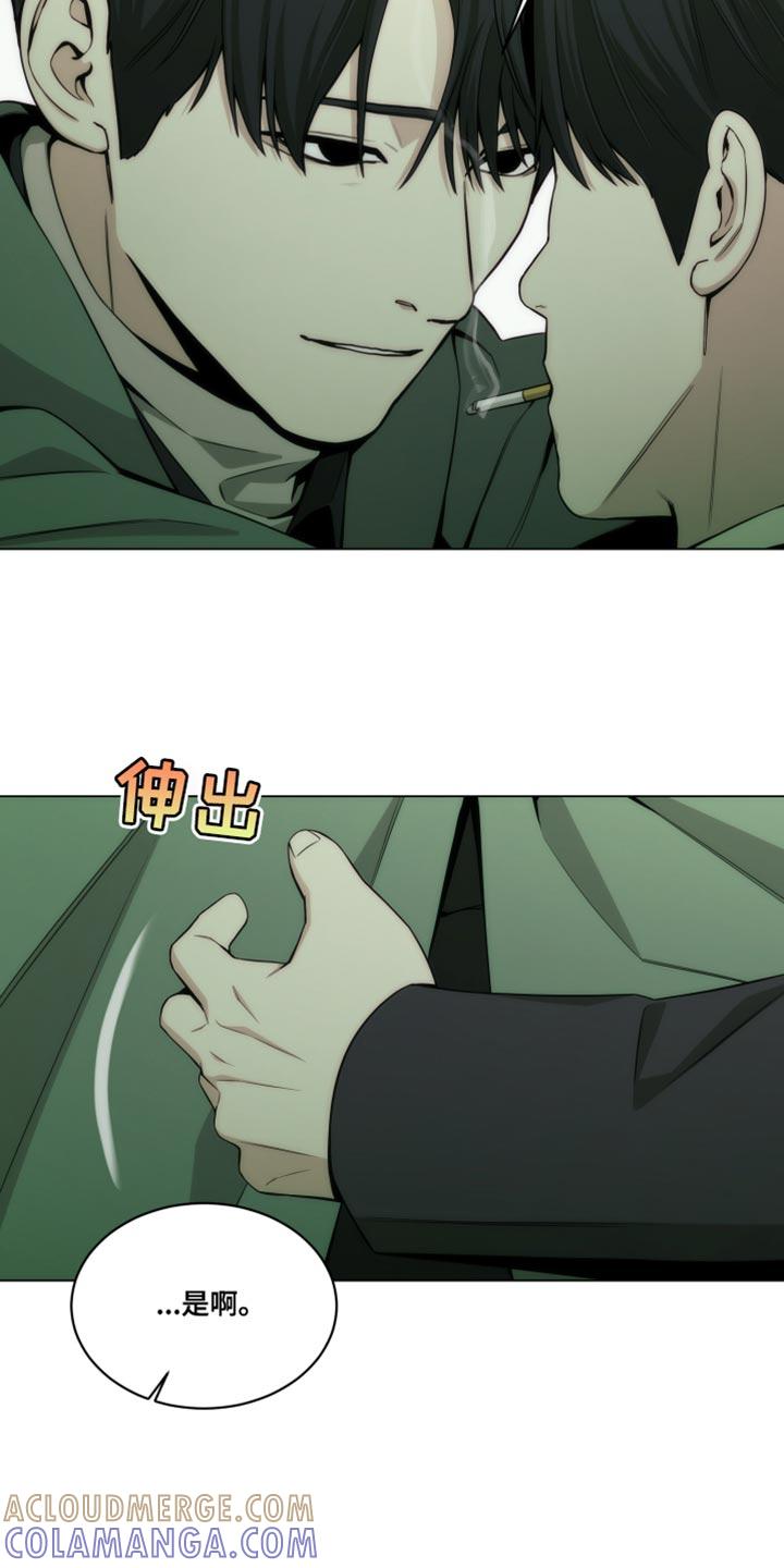 《致命诱饵》第21章：新奇的比喻 第13页