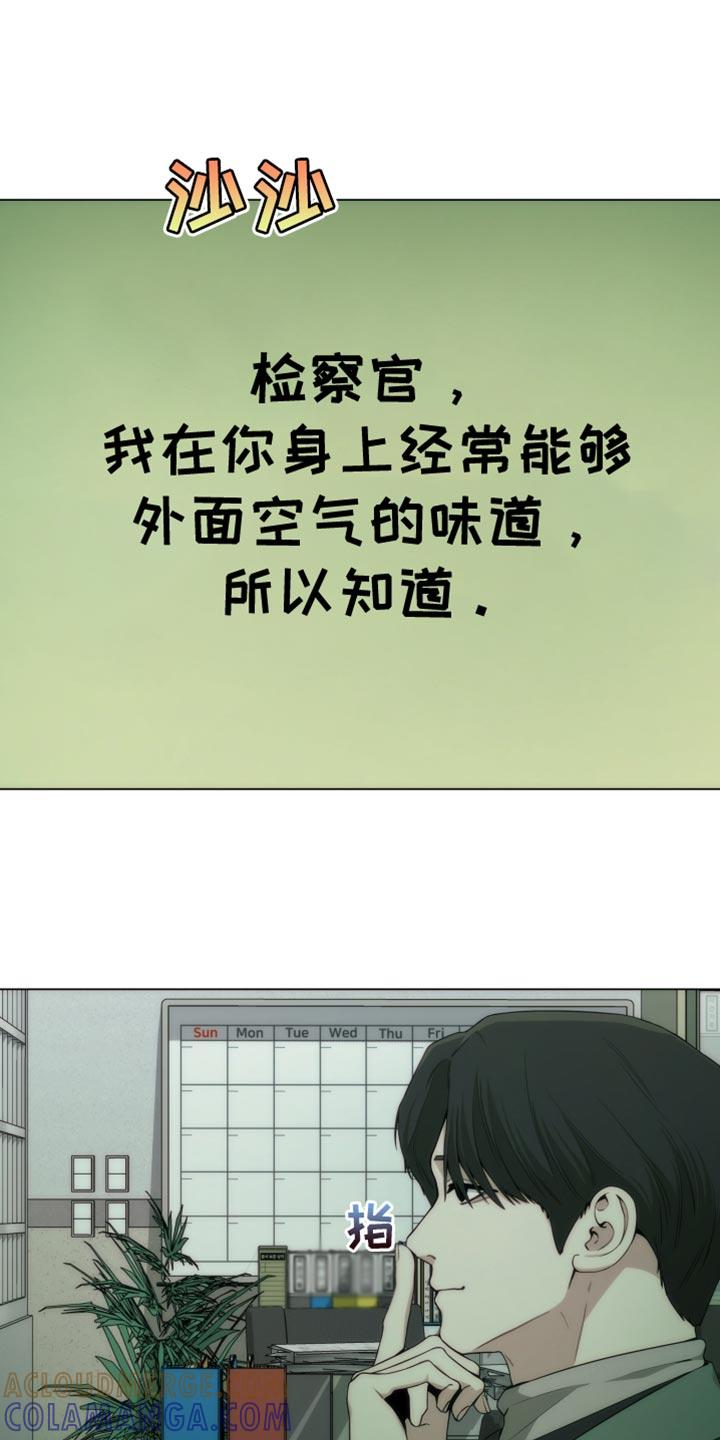 《致命诱饵》第23章：我自己打车吧 第11页