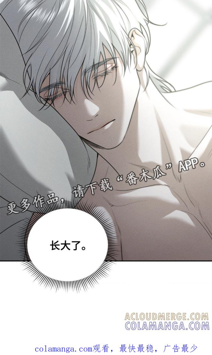 《纯白的假象》第67章：【第二季】长大了 第17页