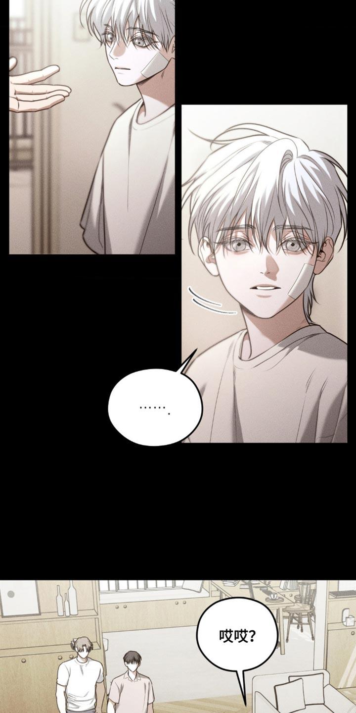 《纯白的假象》第67章：【第二季】长大了 第10页