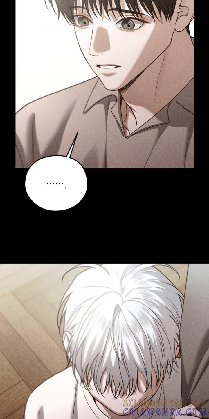 《纯白的假象》第67章：【第二季】长大了 第13页
