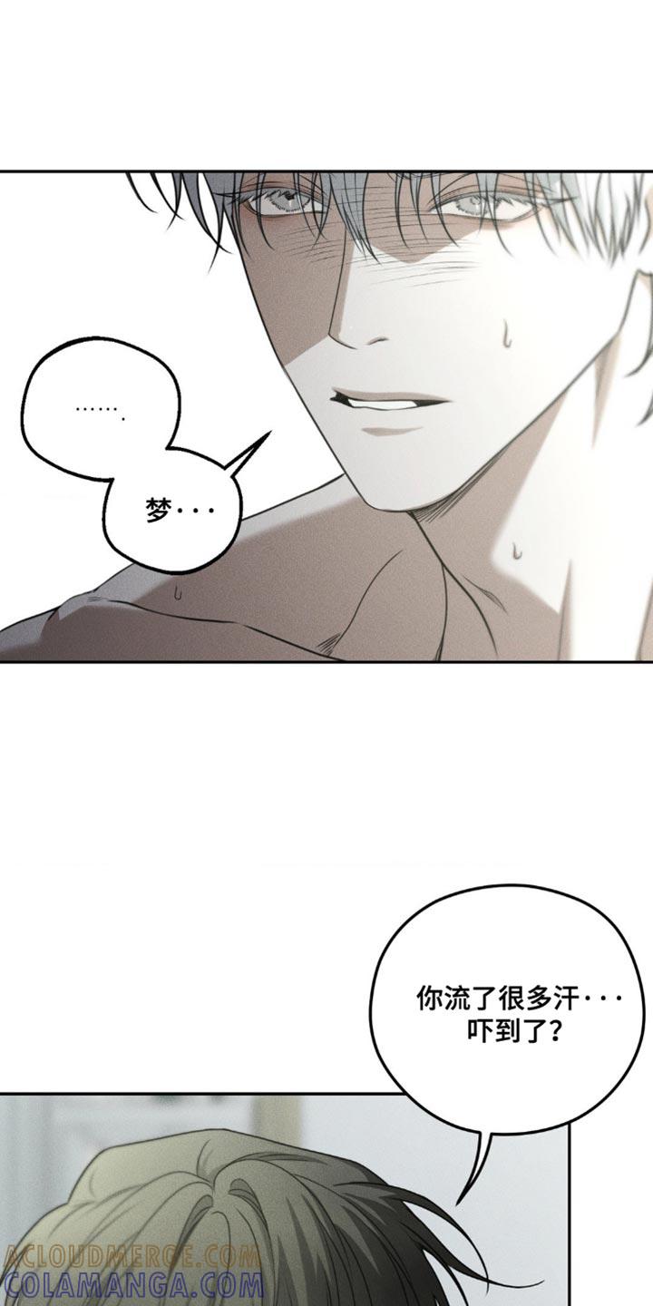 《纯白的假象》第68章：【第二季】好像也不错 第7页