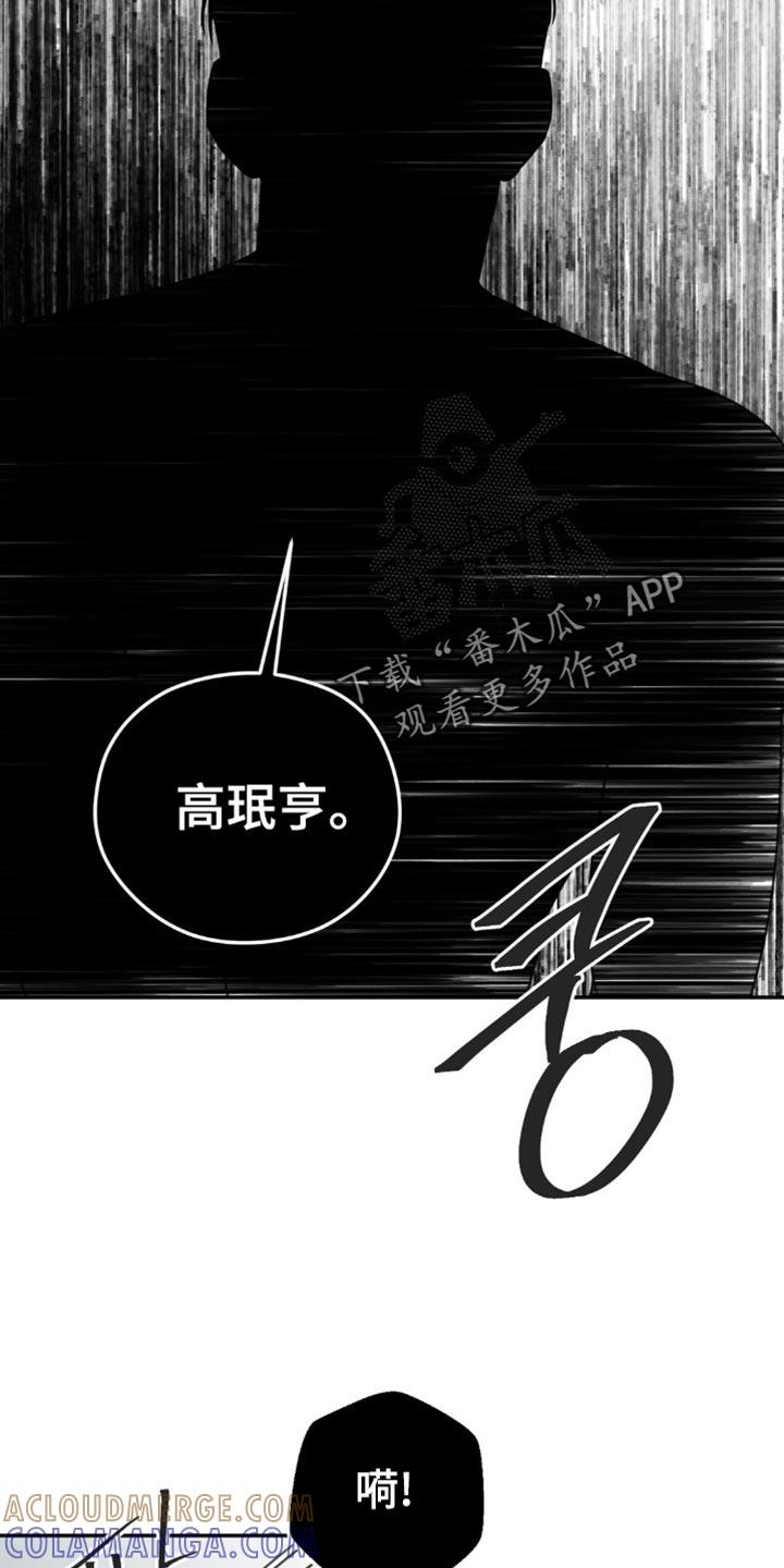 《纯白的假象》第68章：【第二季】好像也不错 第5页