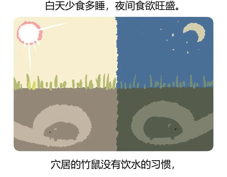 《胖达x胖达》第56话 第28页