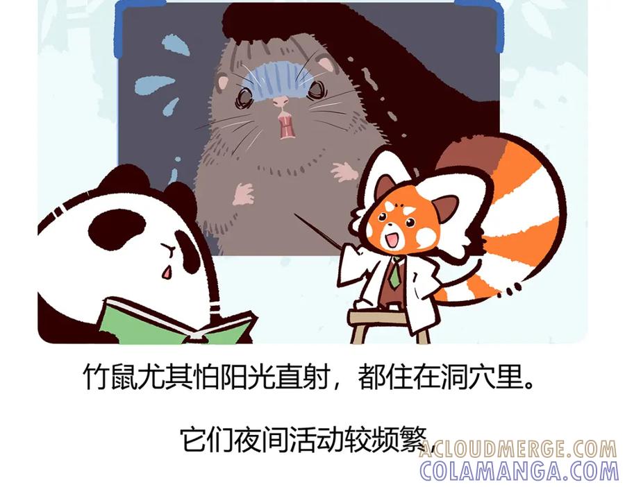 《胖达x胖达》第56话 第27页