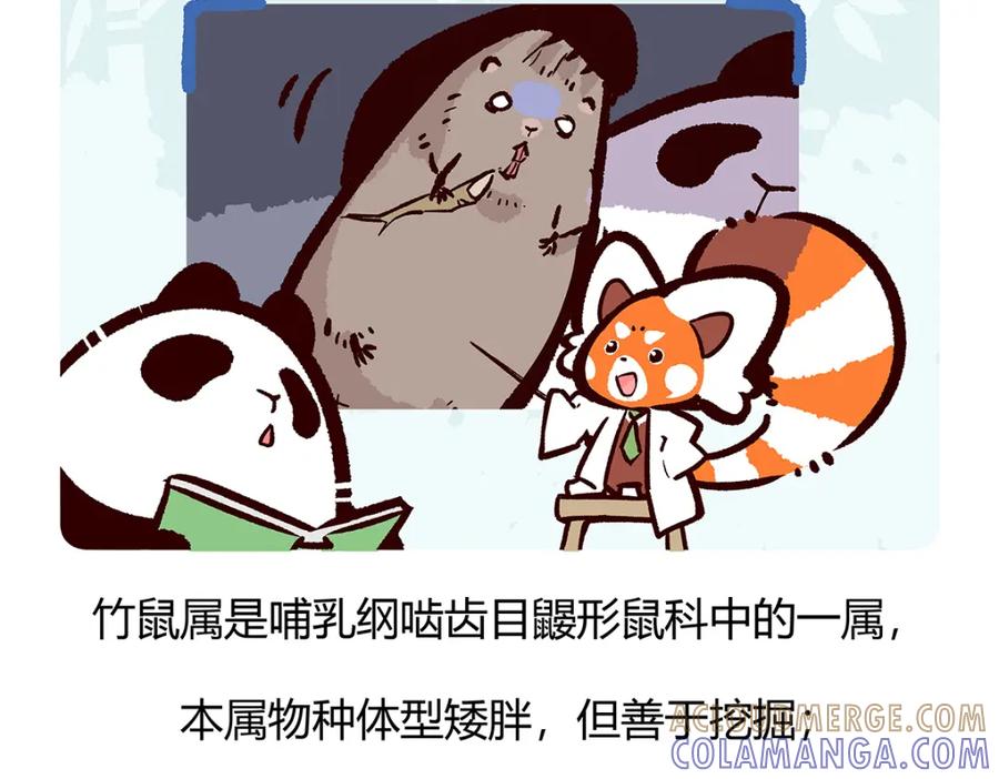 《胖达x胖达》第56话 第21页