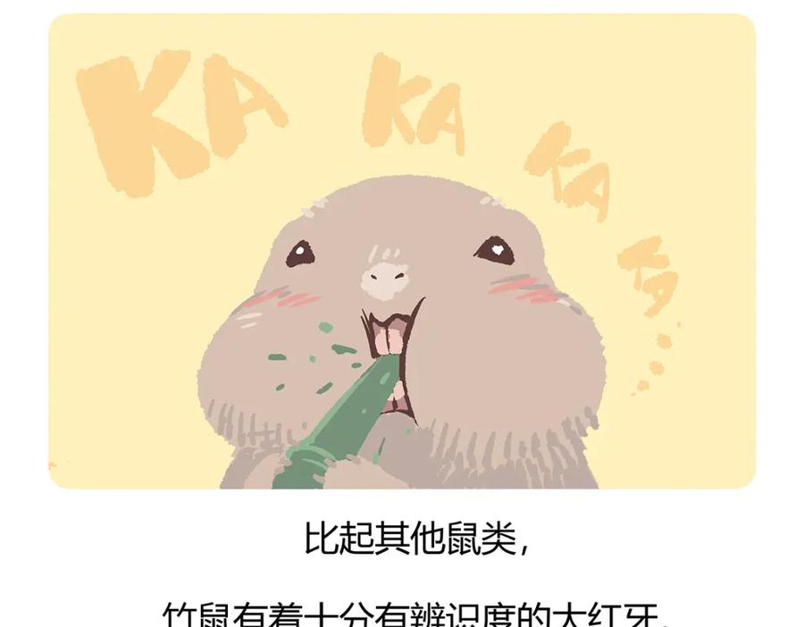 《胖达x胖达》第56话 第24页