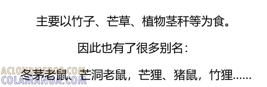 《胖达x胖达》第56话 第23页
