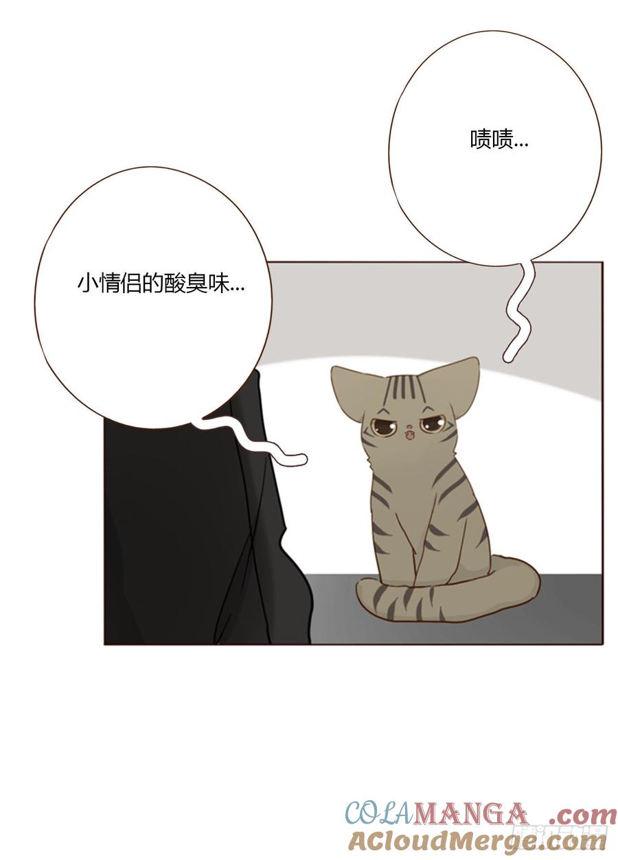 拥然入怀 一八七章 角色互换 第15页