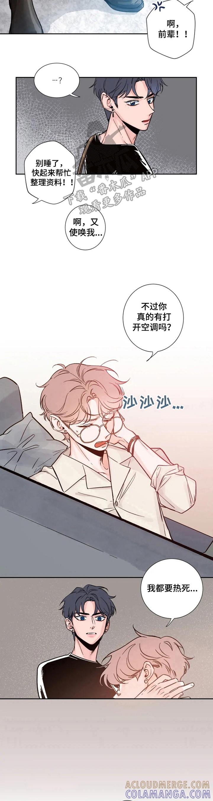 《初见心动》第10章：又遇见了 第5页