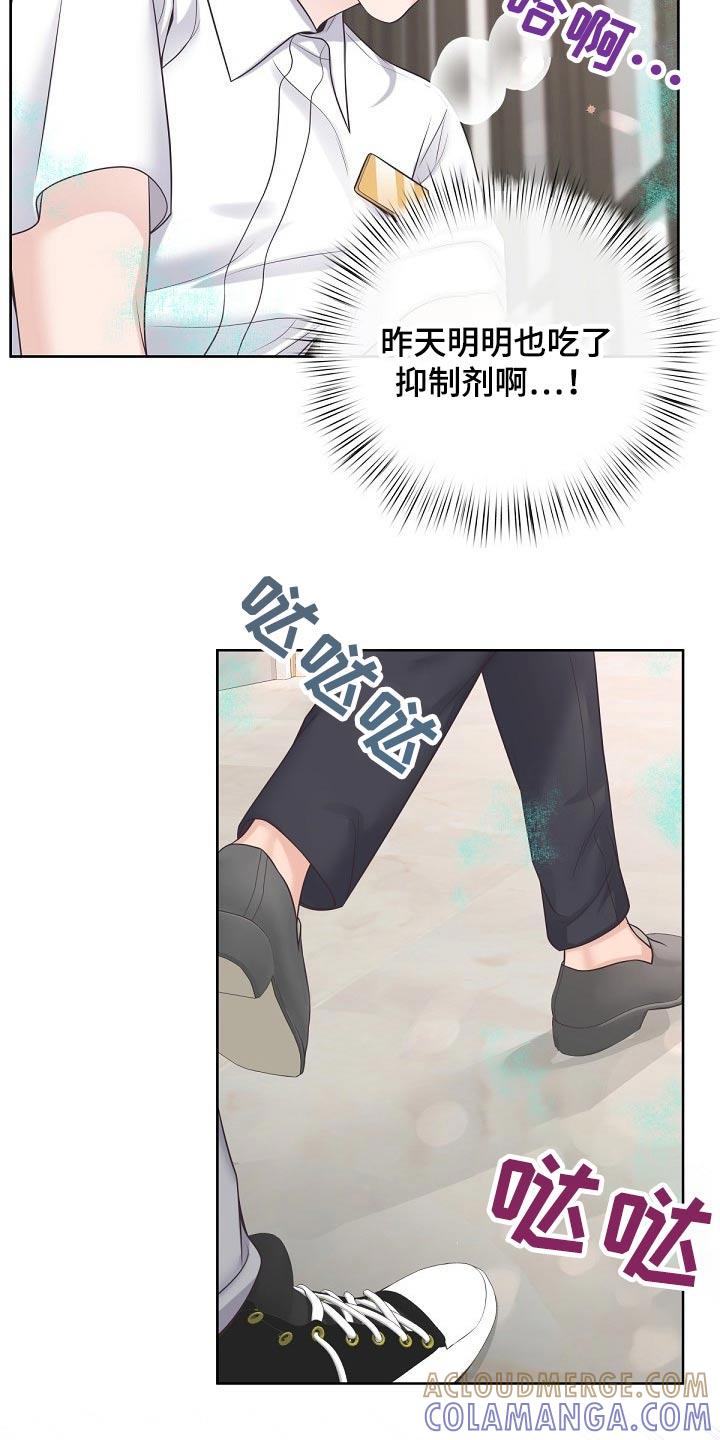 《阿尔法管家》第101章：【第二季】倒下 第17页