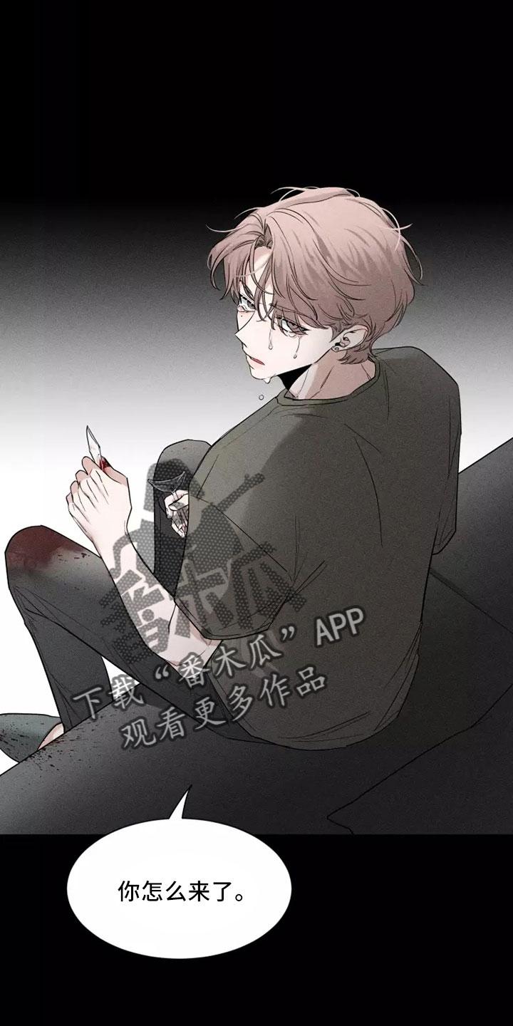 《初见心动》第127章：【第二季】周末情侣 第12页