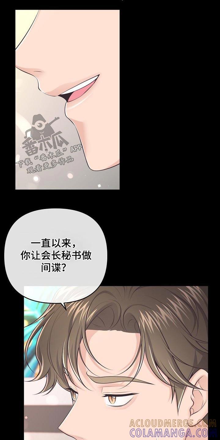 《阿尔法管家》第128章：【第二季】曝光 第11页