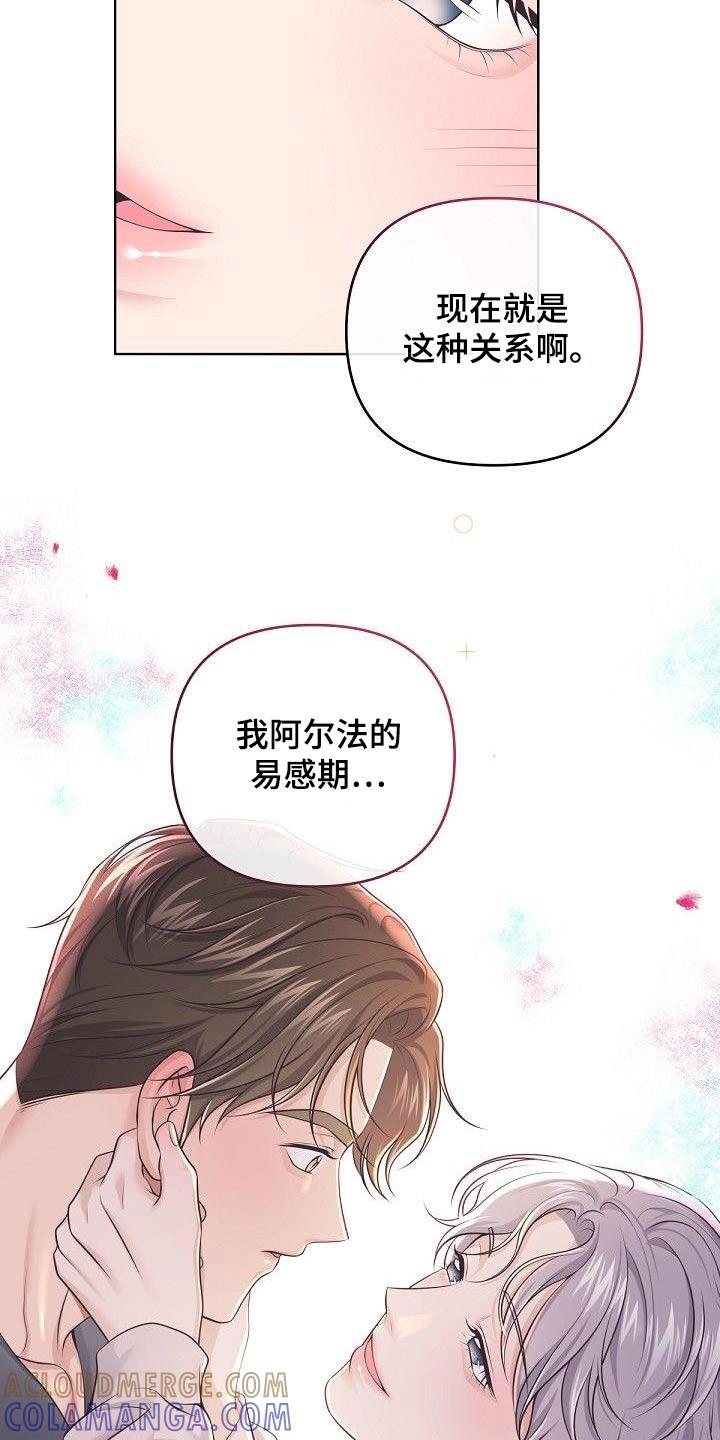 《阿尔法管家》第138章：【番外】我的阿尔法 第13页