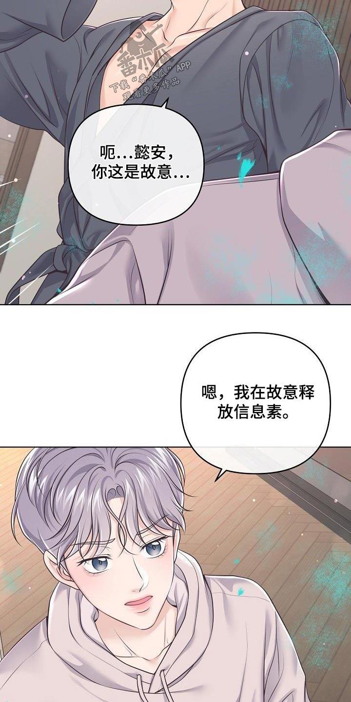 《阿尔法管家》第138章：【番外】我的阿尔法 第4页