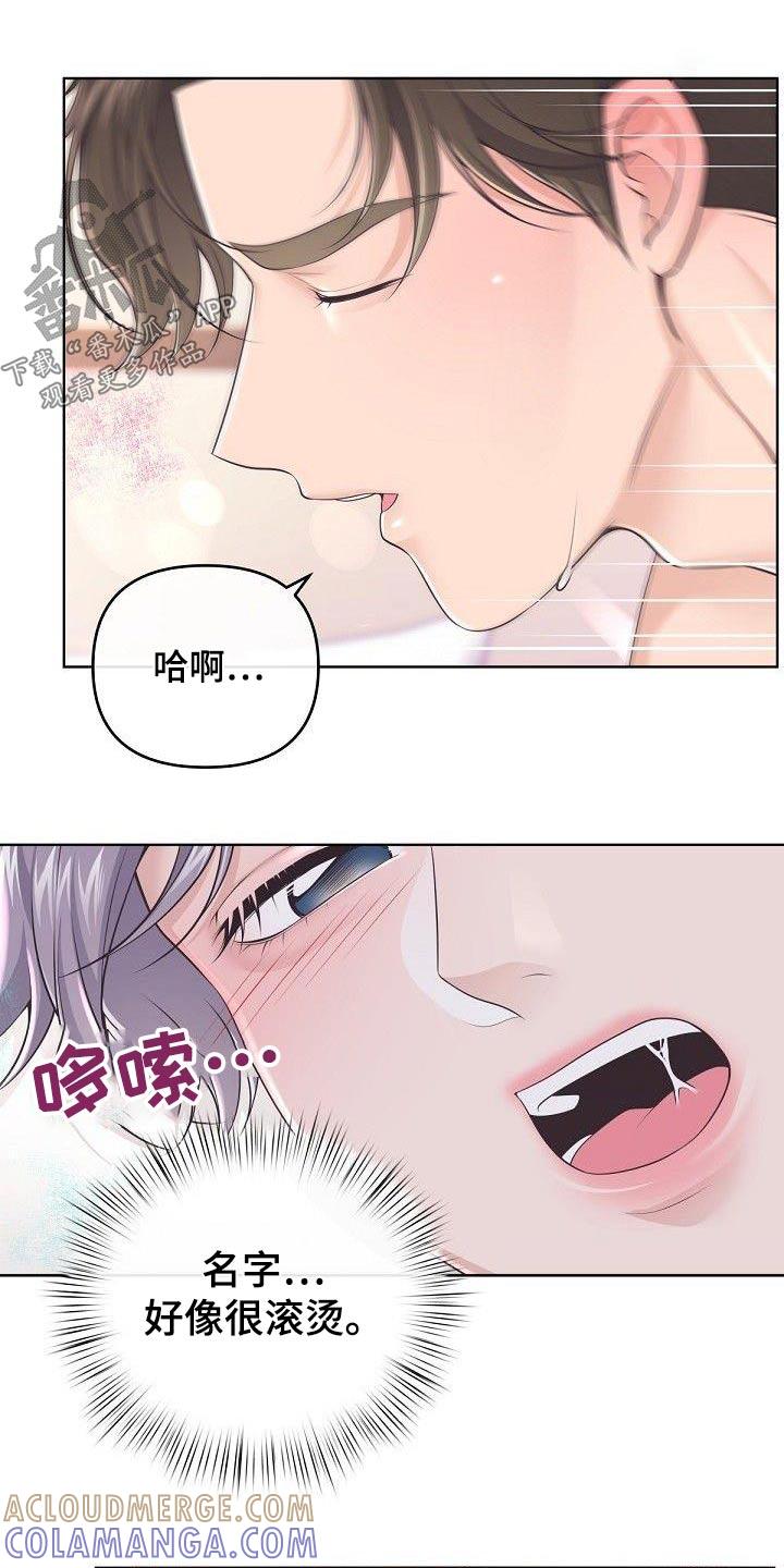 《阿尔法管家》第139章：【番外】太美了 第8页