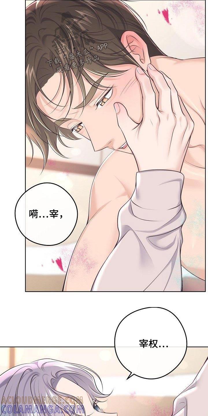 《阿尔法管家》第139章：【番外】太美了 第9页
