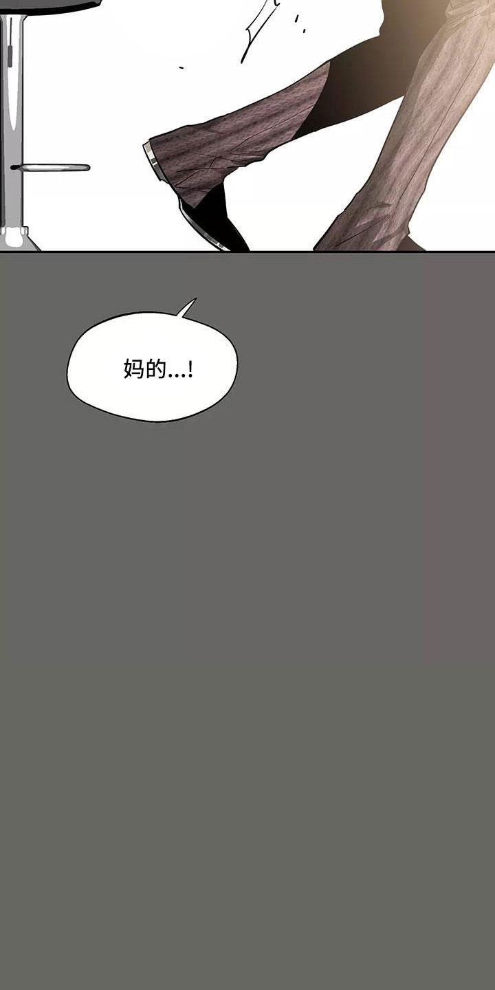 《初见心动》第141章：【第二季】都白允 第14页
