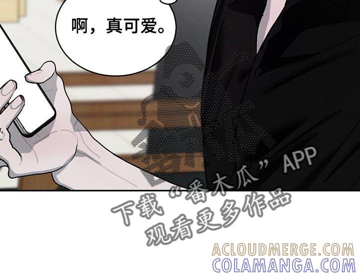 《危险建议》第141章：【第三季】创业 第13页