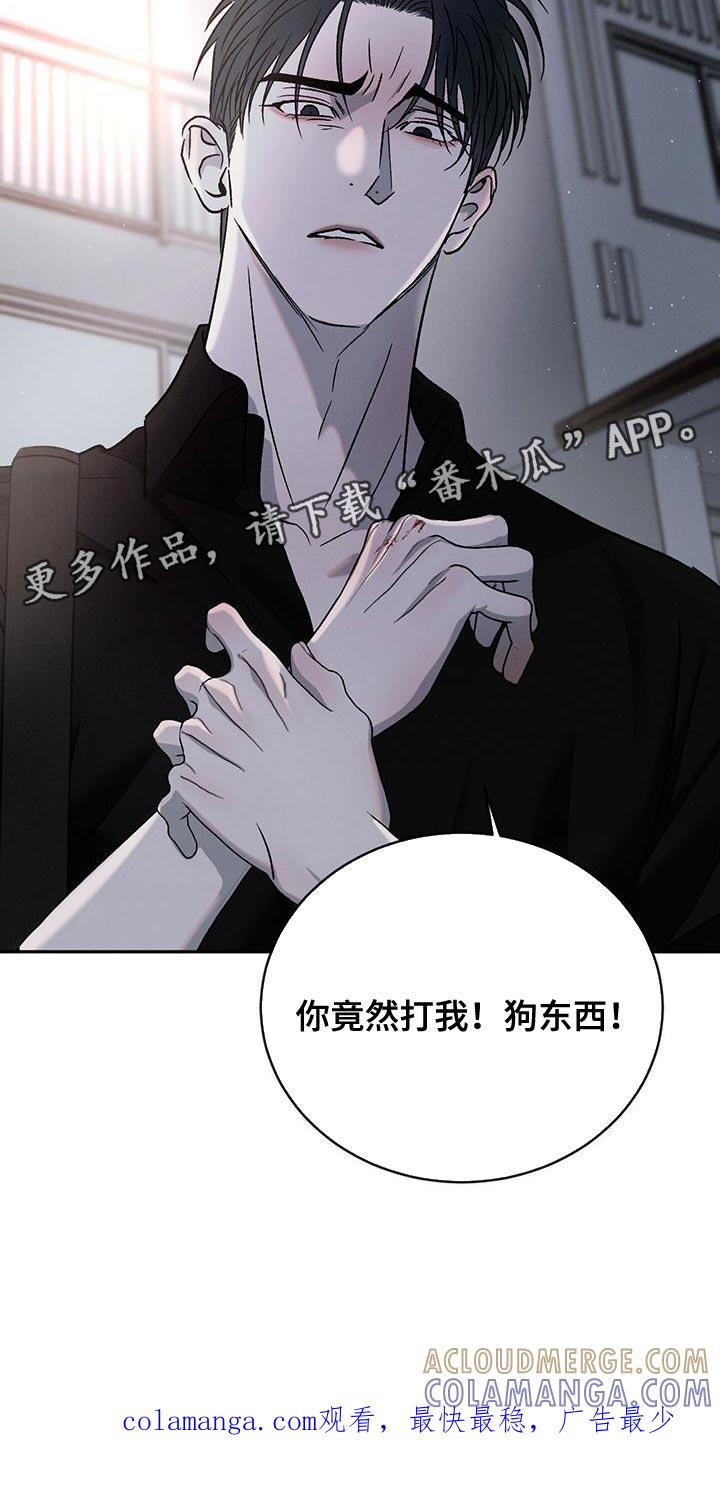 《危险建议》第142章：【第三季】你竟然打我！ 第33页