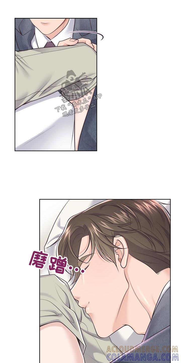 《阿尔法管家》第146章：【番外】怀孕 第13页