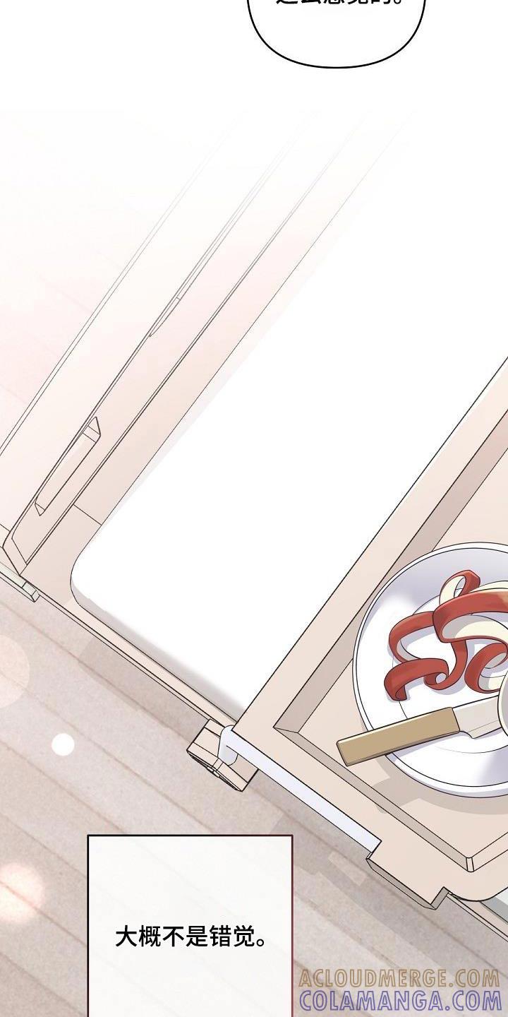 《阿尔法管家》第149章：【番外】担心 第13页
