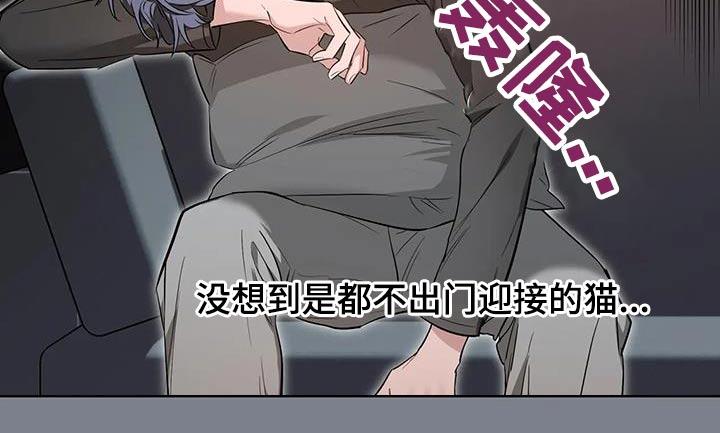 《初见心动》第151章：【第二季】理由 第18页