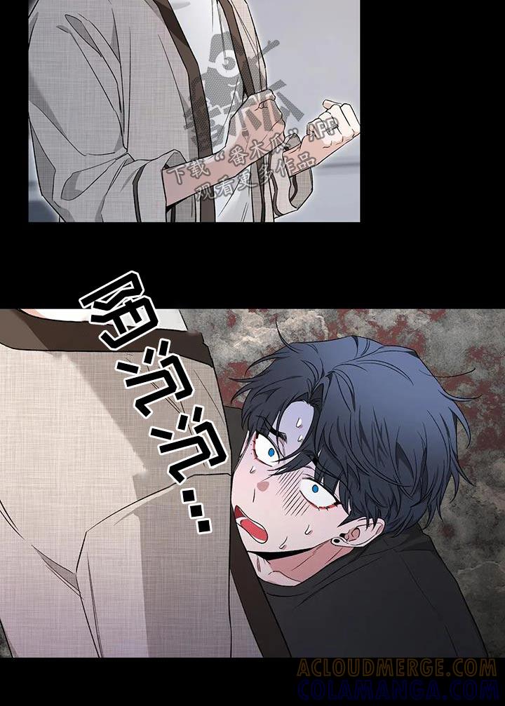 《初见心动》第152章：【第二季】推开 第17页