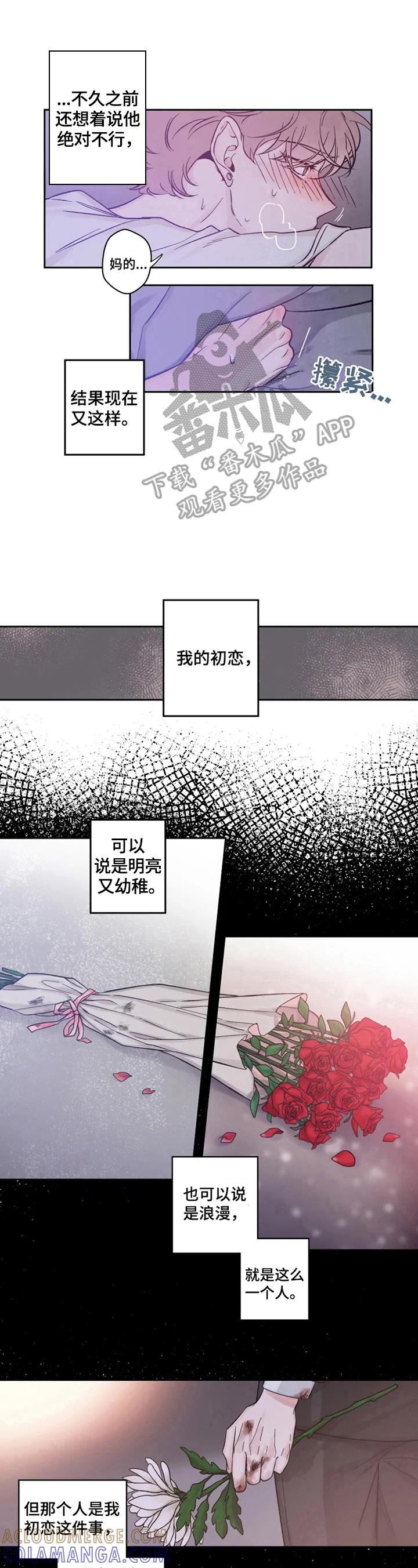 《初见心动》第18章：越过防御线 第6页