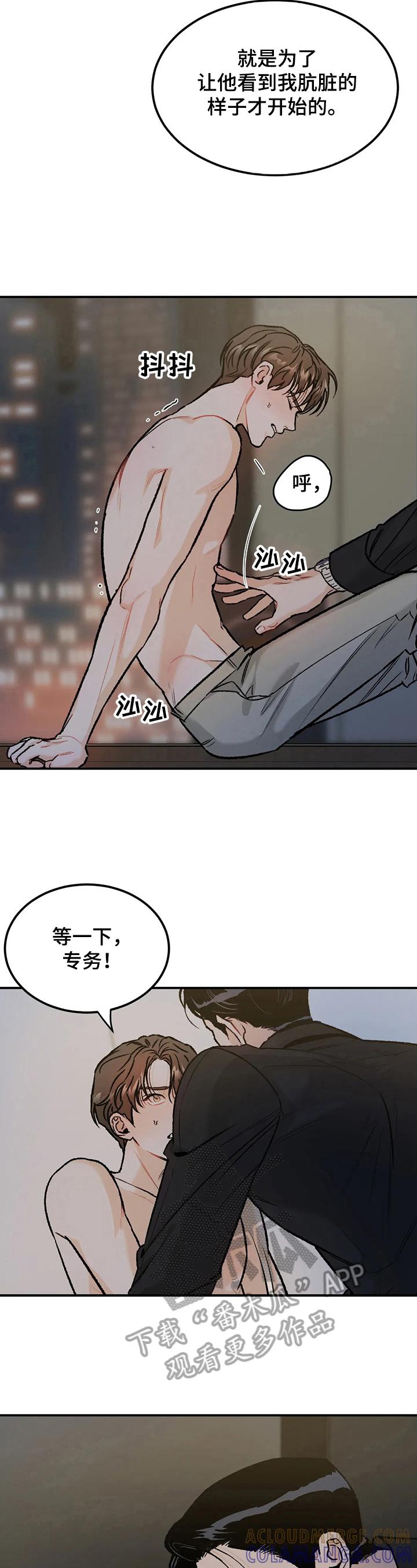 《沉迷其中》第19章：疯狂 第2页